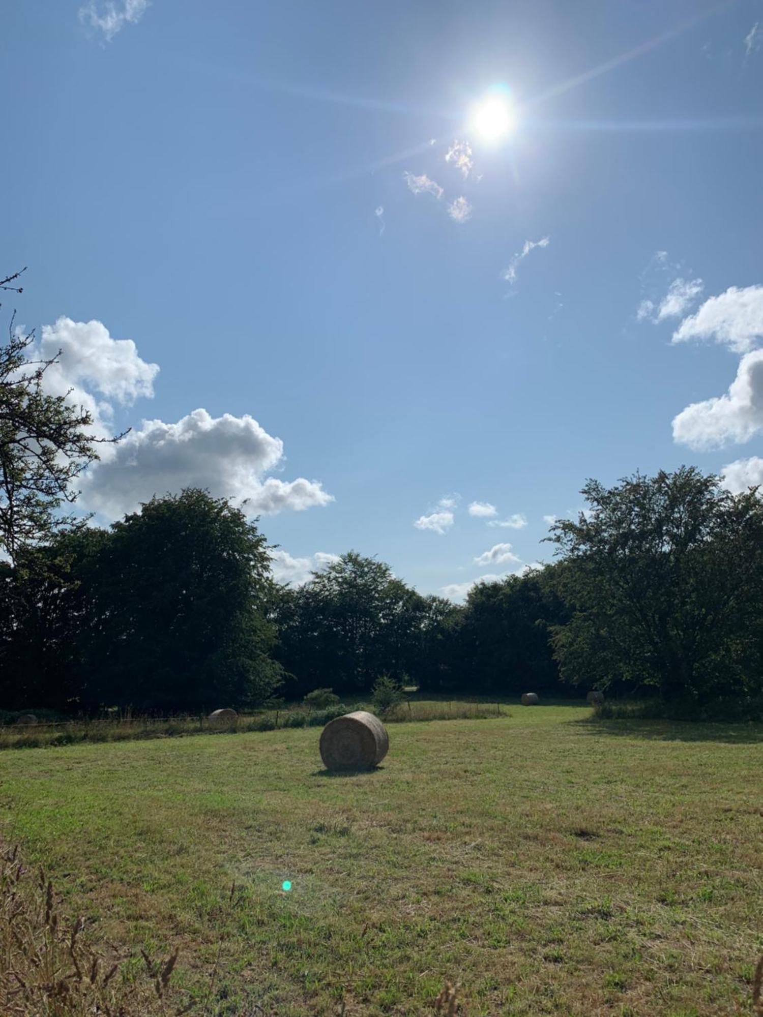 Willow Farm Holiday home